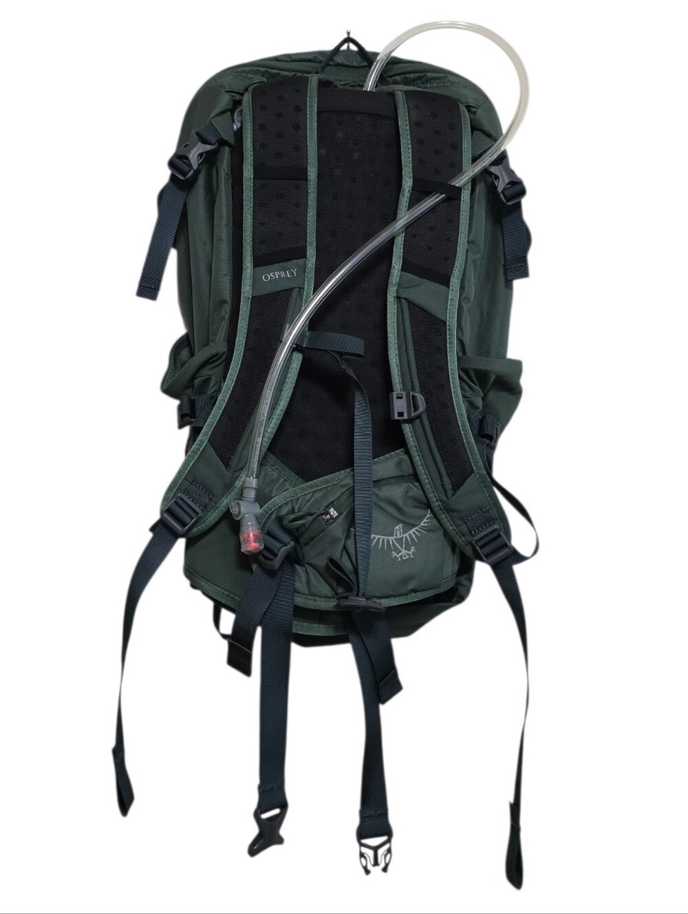 Osprey Skarab 30 in Tundra Green NWT - Picture 3 of 5